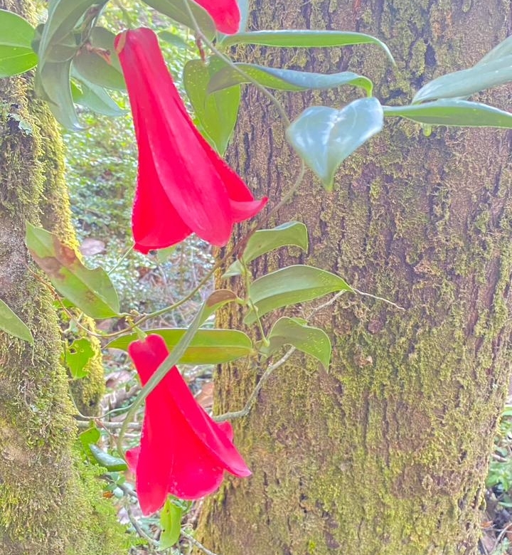 Foto 6